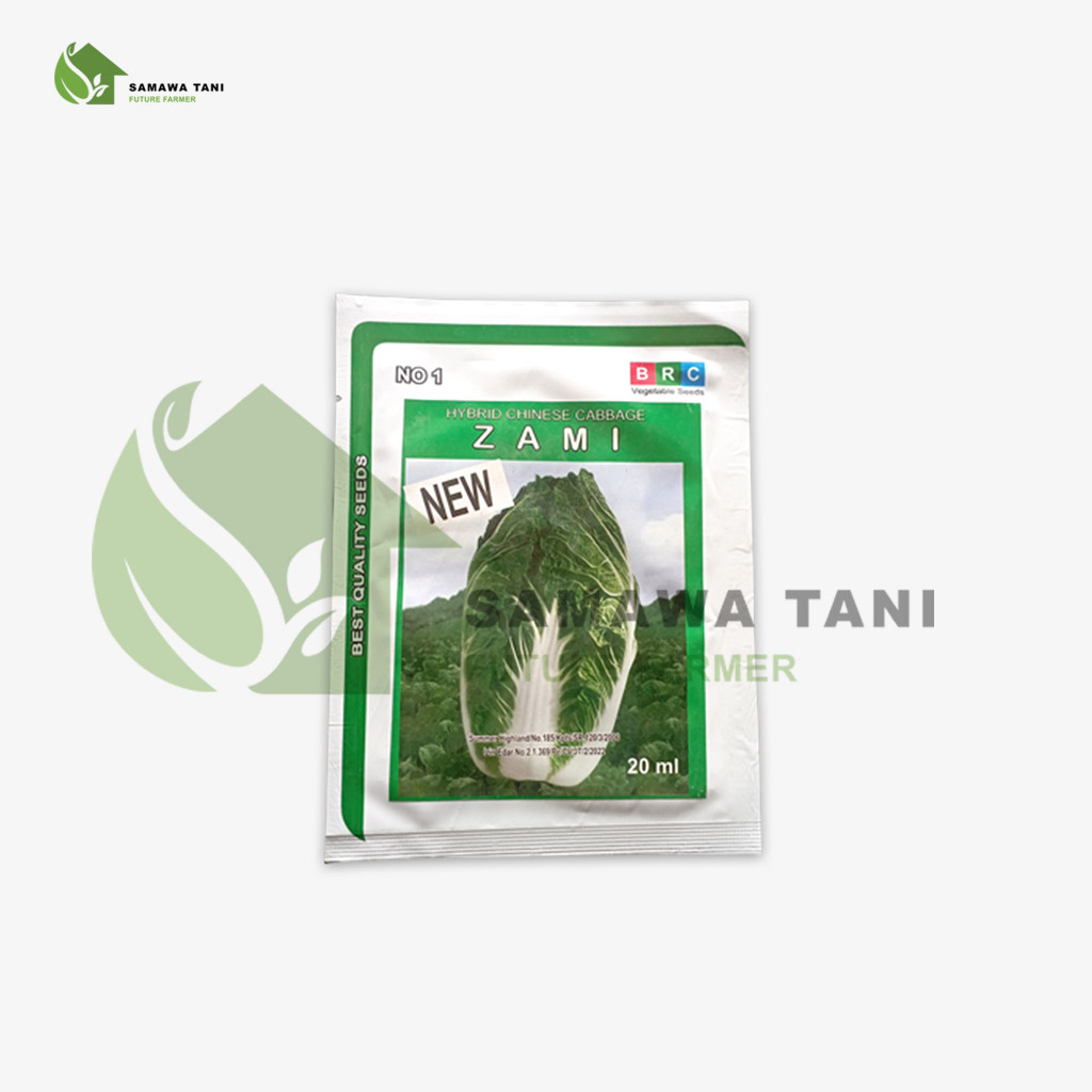 Benih Sawi Putih Hybrid Chinese Cabbage Zami
