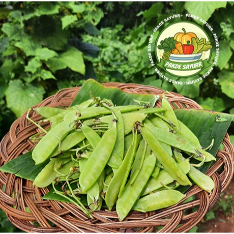 

Sayur Kacang Kapri Manis Segar Organik harga per 100 gr