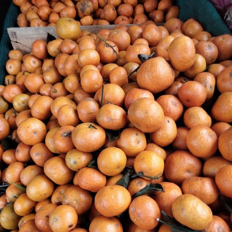 

jeruk santang segar 1kg