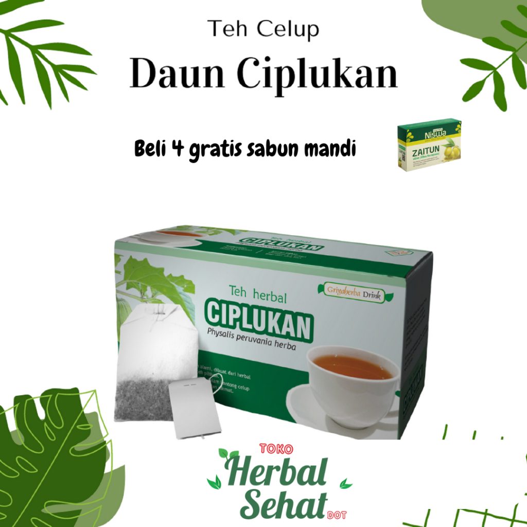 

Teh Herbal Daun Ciplukan Griya Herba isi 20 Kantong membantu mengatasi influenza diabetes sakit tenggorokan