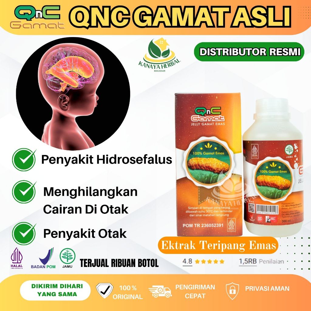 Obat Herbal Untuk Penyakit Hidrosefalus, Menghilangkan Cairan Di Otak - QnC Jelly Gamat