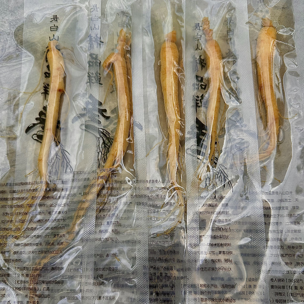 

Ginseng Segar Asli 20gram Kemasan Vakum