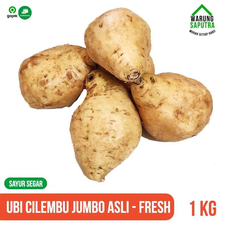 

Ubi Jalar Cilembu Mentah Si Madu Asli Manis Ukuran Jumbo Grade A 1 kg