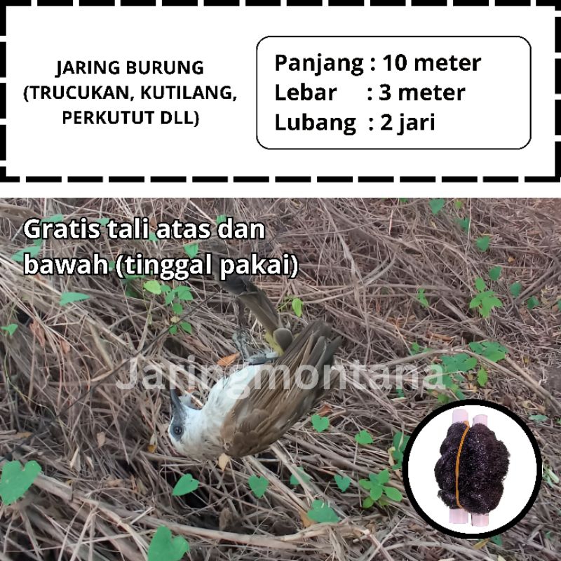 JARING TRUCUKAN PANJANG 10 METER JARING BURUNG PERKUTUT JARING BURUNG SAWAH JARING BURUNG TRUCUKAN