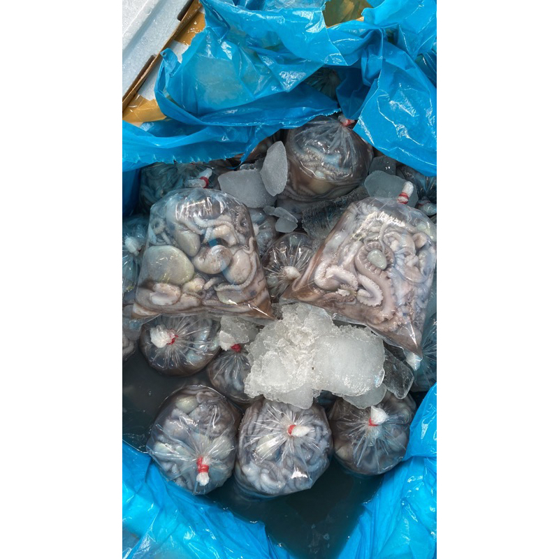 

BABY GURITA 1 Kg (isian random)