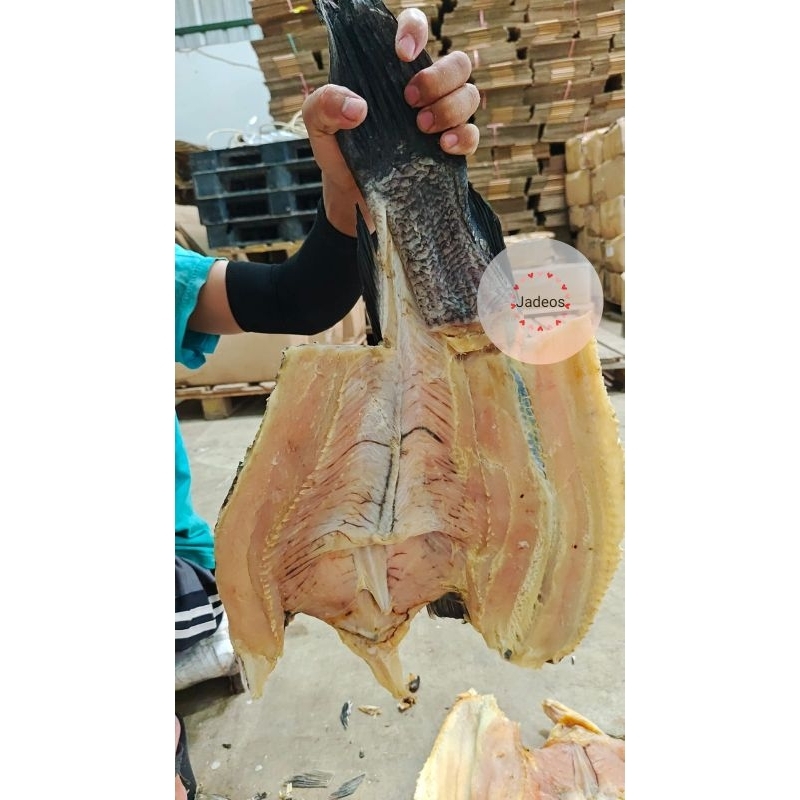 

Ikan Gabus Super fillet 500 gr