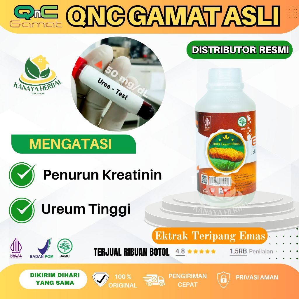 [COD] Obat Herbal Penurun Kreatinin Dan Ureum Tinggi 100% Alami - QnC Jelly Gamat Original
