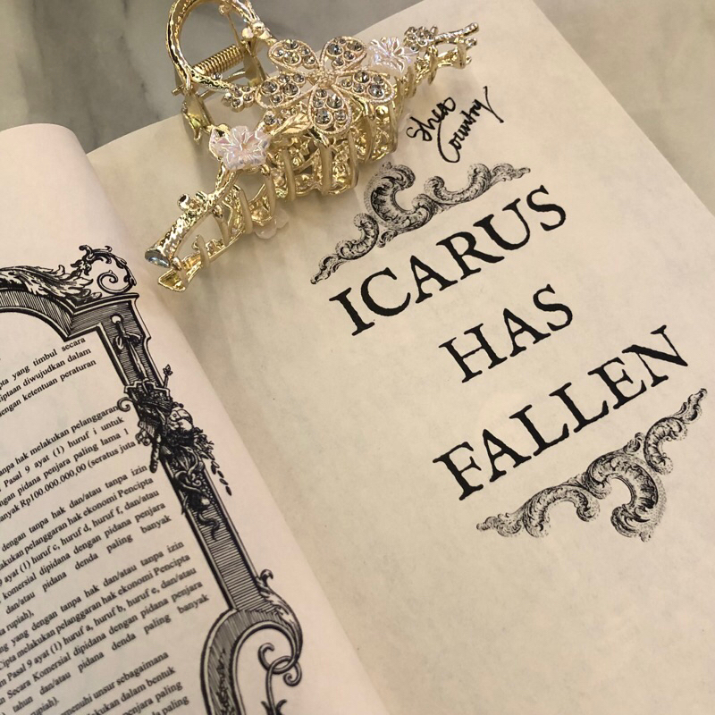 [PRELOVED] ICARUS HAS FALLEN