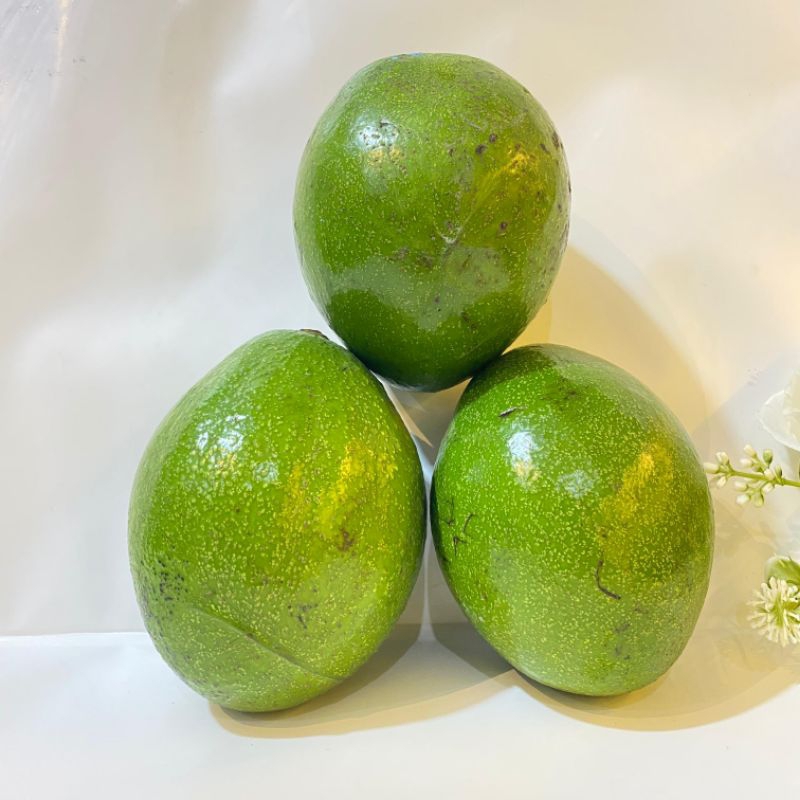 

alpukat mentega standar 500gr