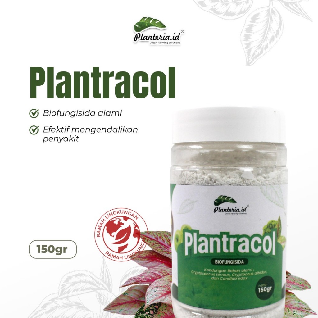 RB Plantracol Biofungisida Alami 150 gram