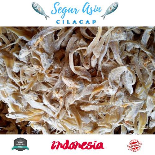 

Ikan Asin Bulu Ayam Jelantir Asli Cilacap 250gr Kualitas Terbaik Harga Termurah