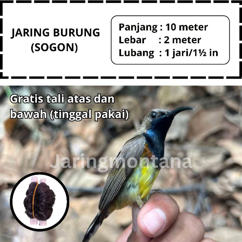 JARING BURUNG SAWAH SIAP PAKAI JARING BURUNG KECIL JARING MONTANA