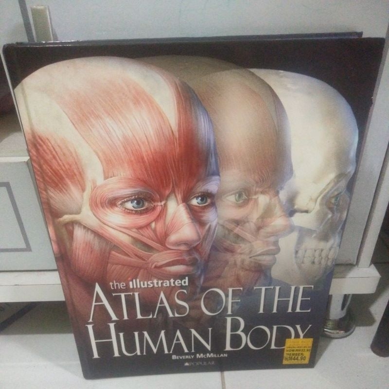 Buku Beverly McMillan The Illustrated Atlas of the Human Body