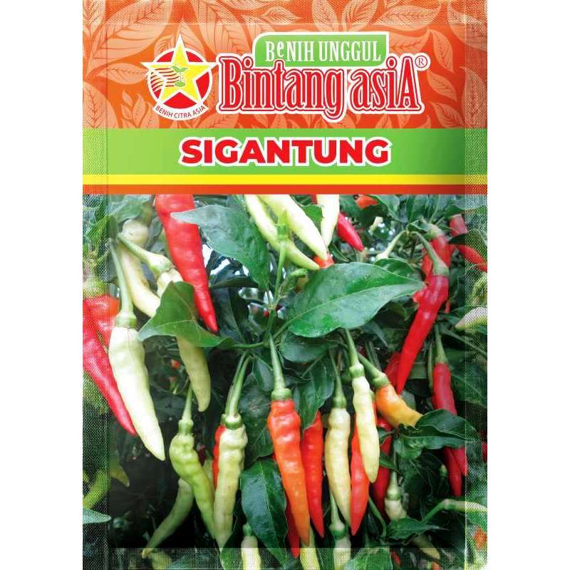 

Benih,Bibit Cabai Sigantung 10 GR/ Cabe Sigantung BCA/Bintang Asia