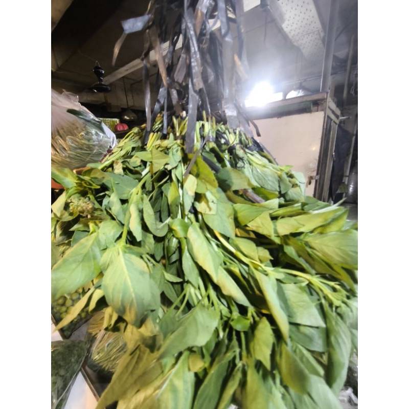 

kemangi 3 ikat kecil