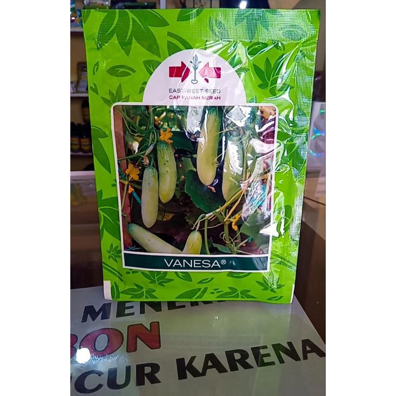 

Vanesa Cap Fanah Merah Tuber