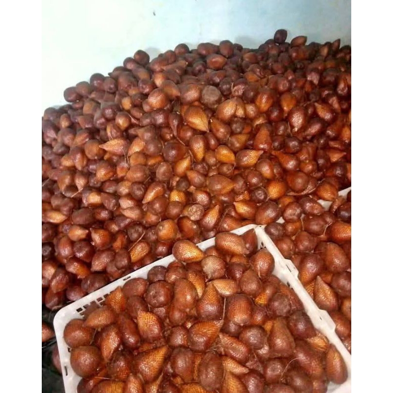 

Salakpondoh