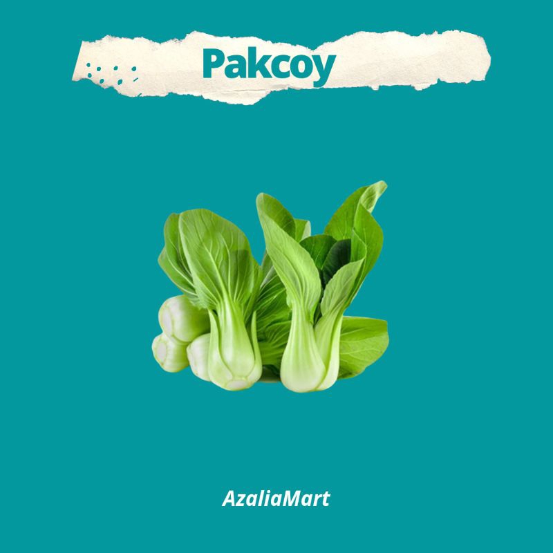 

Sayur Pakcoy 7rb / Babby Pakcoy Fresh