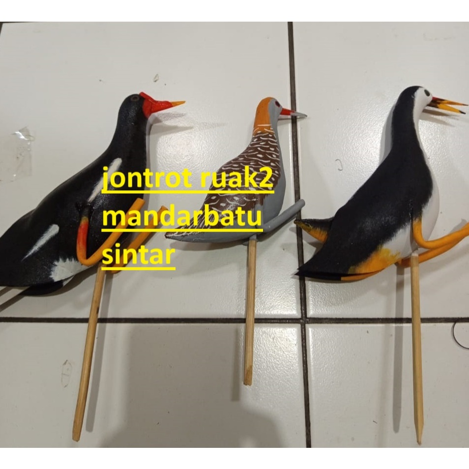 JONTROT BURUNG RAWA PATUNG MANUK SAWAH RUAK RUAK MANDAR PERUK SINTAR MANDAR PADI TAHAN AIR MURAH MER