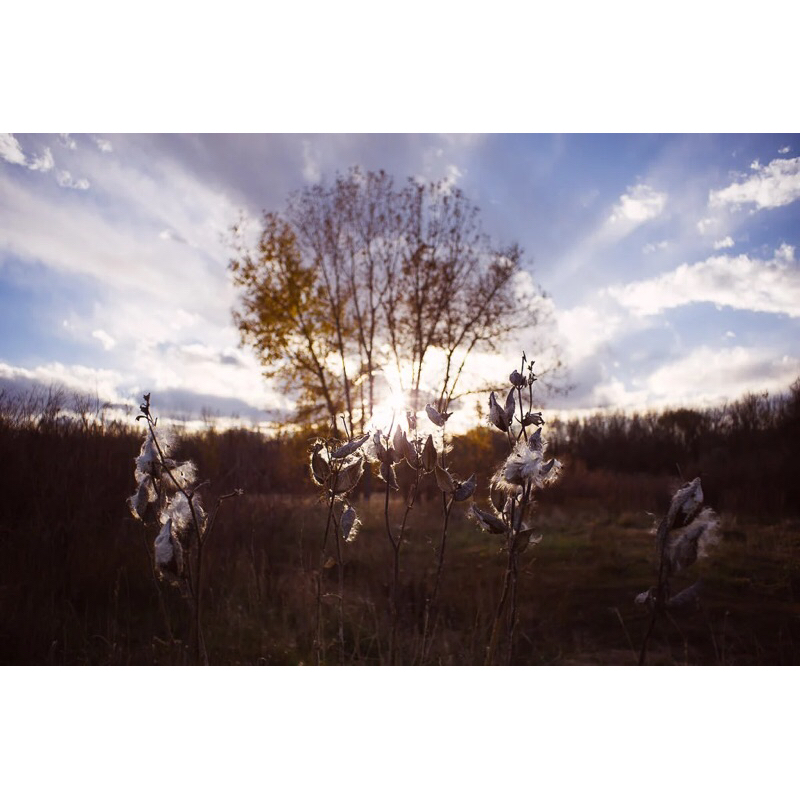 Lensa Nikon HC Auto Nikkor 28mm f3.5 Ai vintage terawat indah