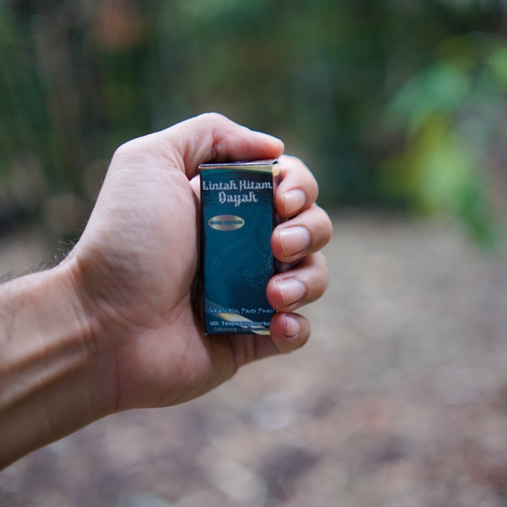 Minyak Lintah Dayak Asli Kalimantan Tengah