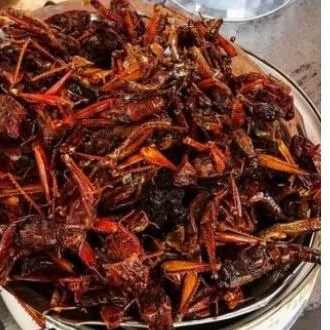 

belalang goreng renyah pedas manis