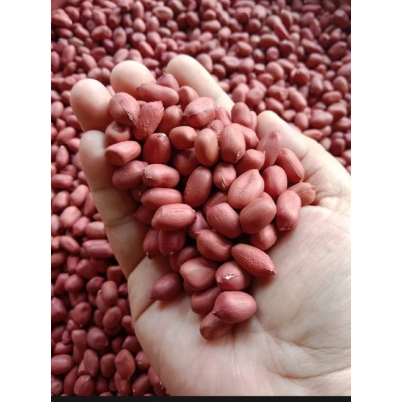 

Kacang Tanah Mentah 500 gram
