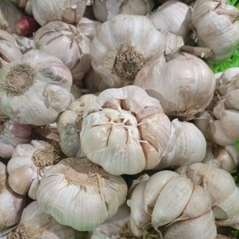 

Bawang putih super 1 kg