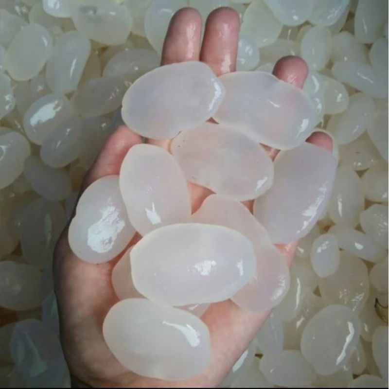

KOLANG KALING/CARULUK MUDA 1KG SUPER