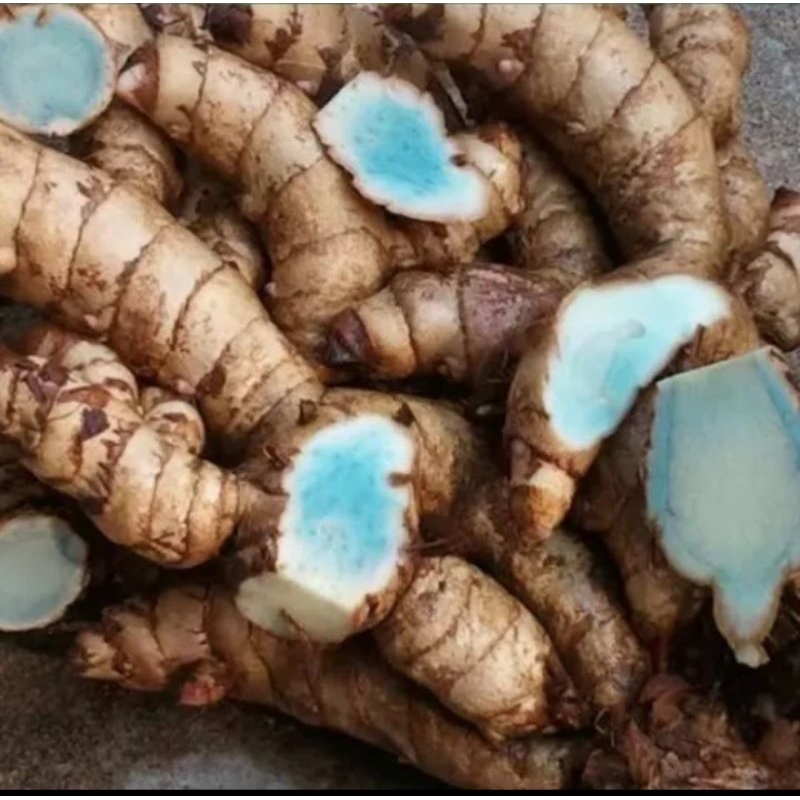 

TEMU HITAM -TEMU IRENG 1KG HERBAL