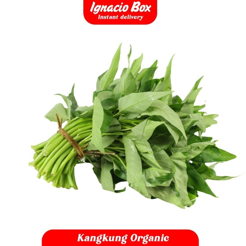 

Kangkung 1 ikat Segar Organik IgnacioBox Fruit