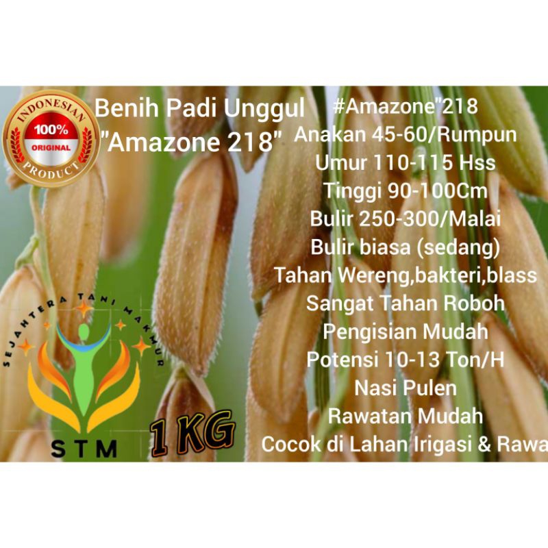 Benih Padi Amazone 218 Kualitas Super Unggul Kemasan 1Kg