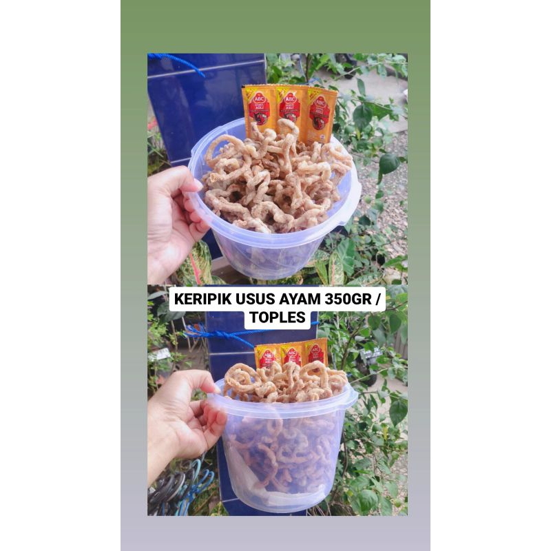 

Keripik Usus Ayam 350gr/ Topples