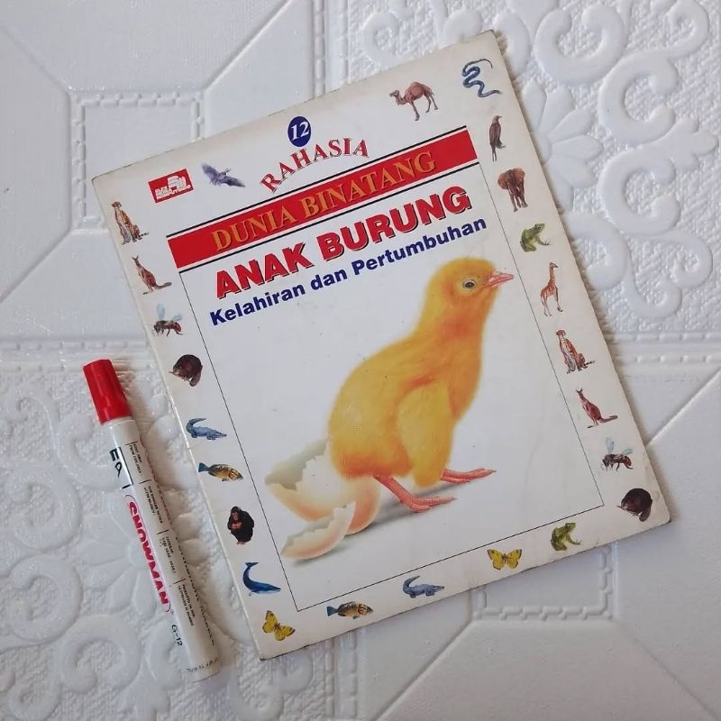 Rahasia Dunia Binatang ANAK BURUNG KELAHIRAN DAN PERTUMBUHAN - Buku Ensiklopedia Anak Pengetahuan Sa