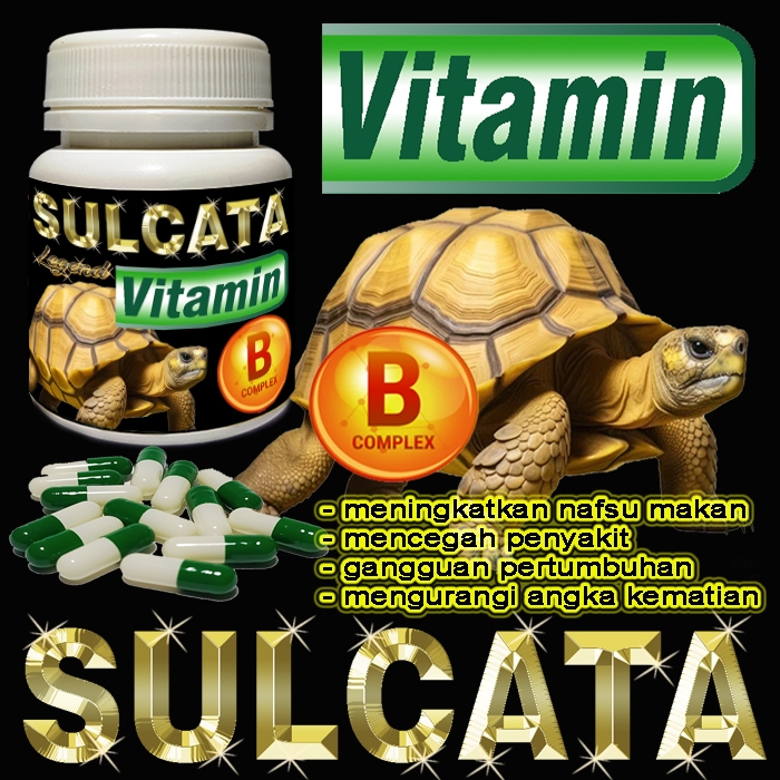 SULCATA VITAMIN BUBUK KAPSUL SUPLEMEN KESEHATAN TORTOISE CENTROCHELYS SULKATA MENYEMBUHKAN GANGGUAN 
