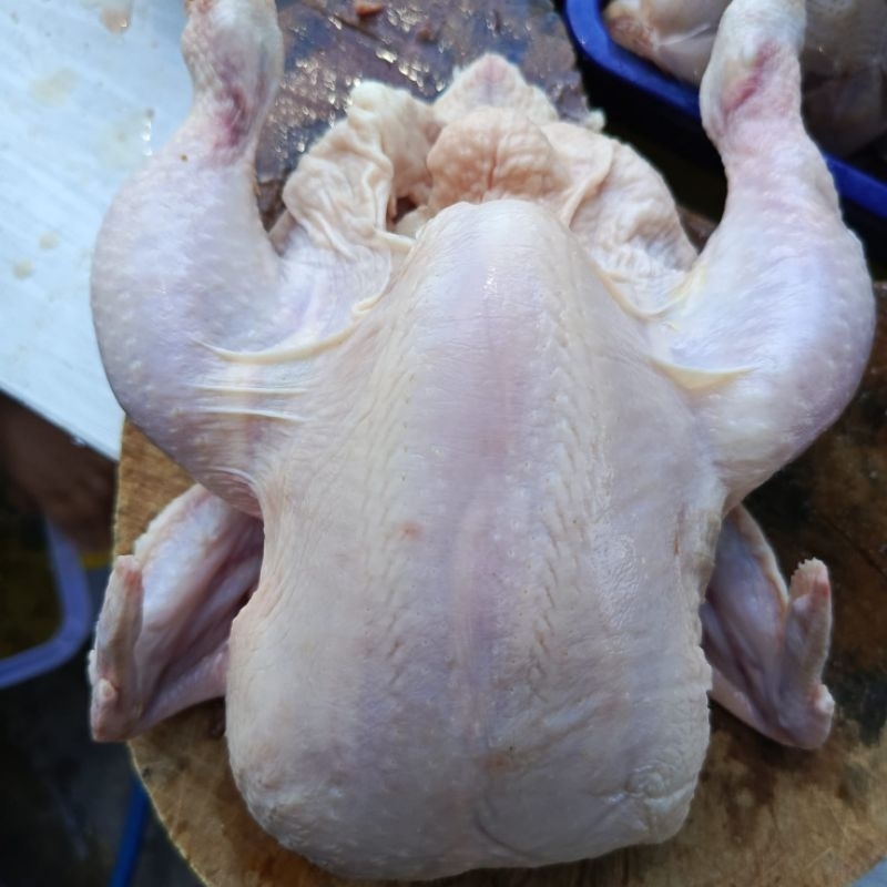 

karkas ayam broiler 1 kg