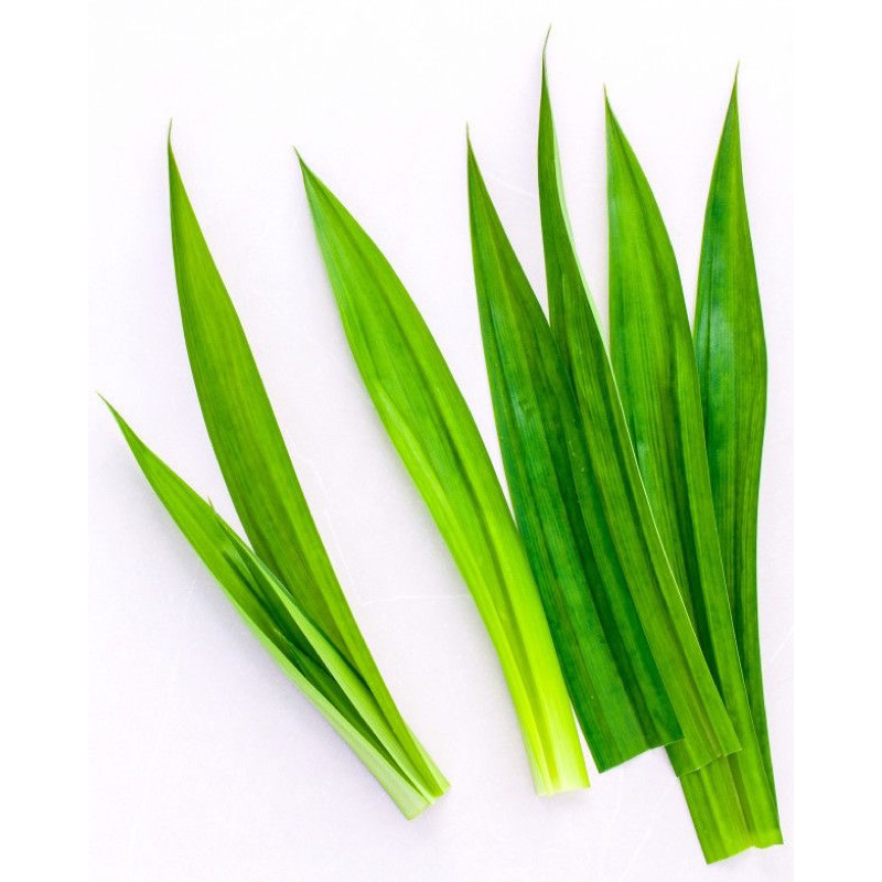 

PASAR FRESH DAUN PANDAN PER IKET