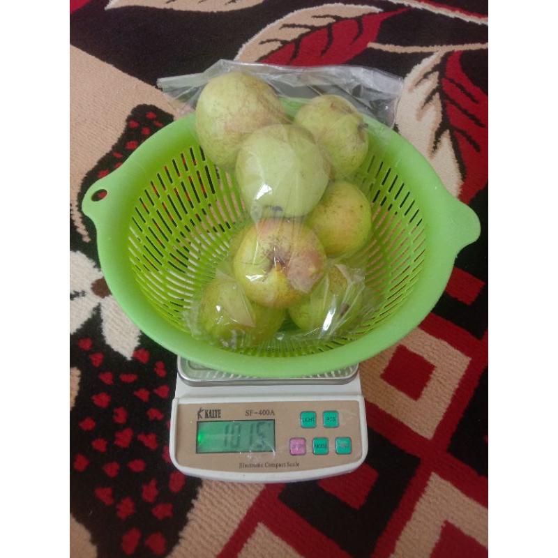 

Apel Manalagi 1kg Isi 8-10 Buah