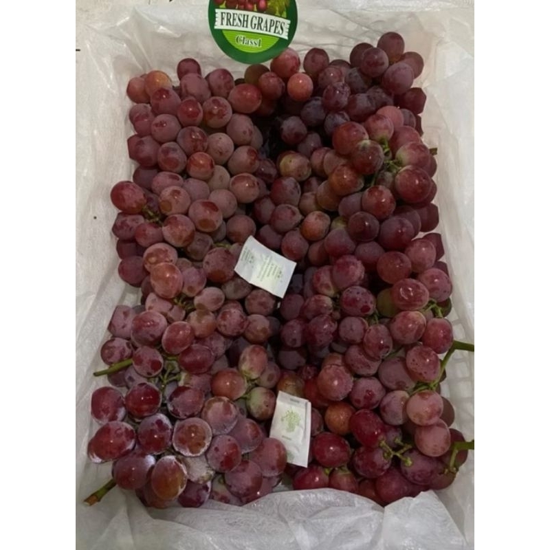 

ANGGUR RED GLOBE /fresh Grapes