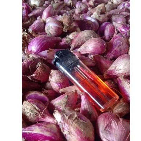

BAWANG MERAH 1 KG
