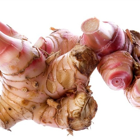 

LENGKUAS / SEGAR 1 Kg COCOK UNTUK BUMBU DAN REMPAH