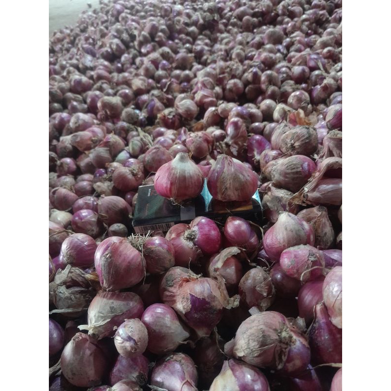 

Bawang Merah Super Murah Grosir