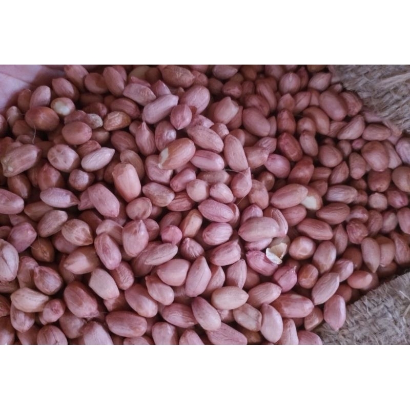 Kacang tanah 1 Kg