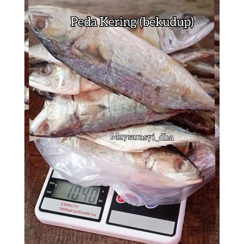 

Peda Asin (Kudup) Fresh 250gr, 500gr, 1000gr hanyar jamuran