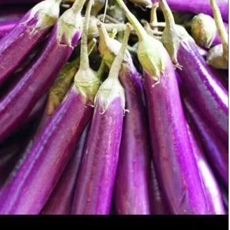 

terong 500gr, Rp 7.000