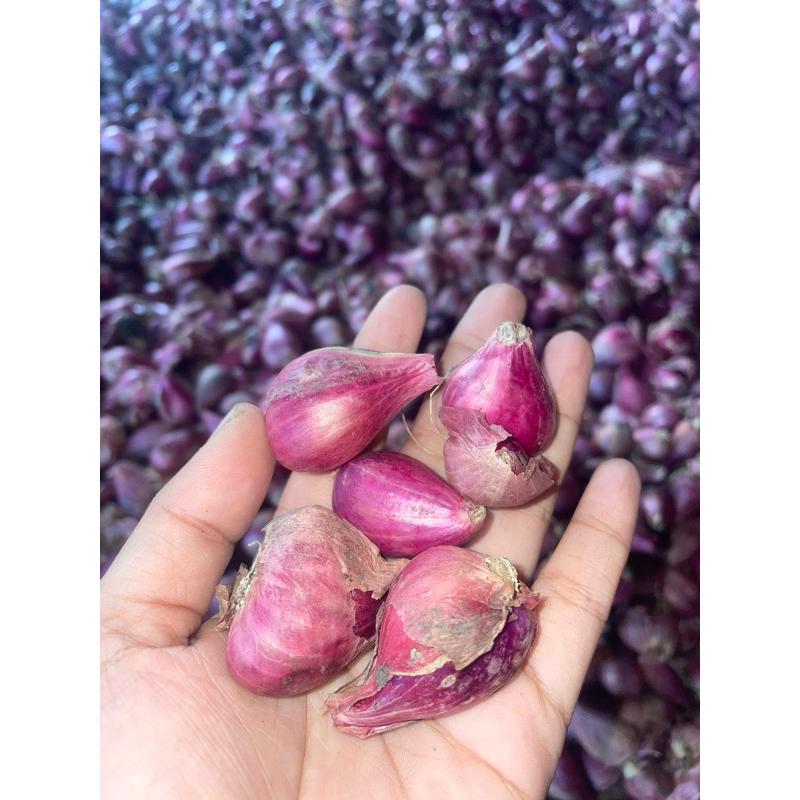 

BAWANG MERAH KECIL (BREBES)