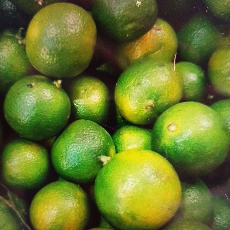 

Asam casturi