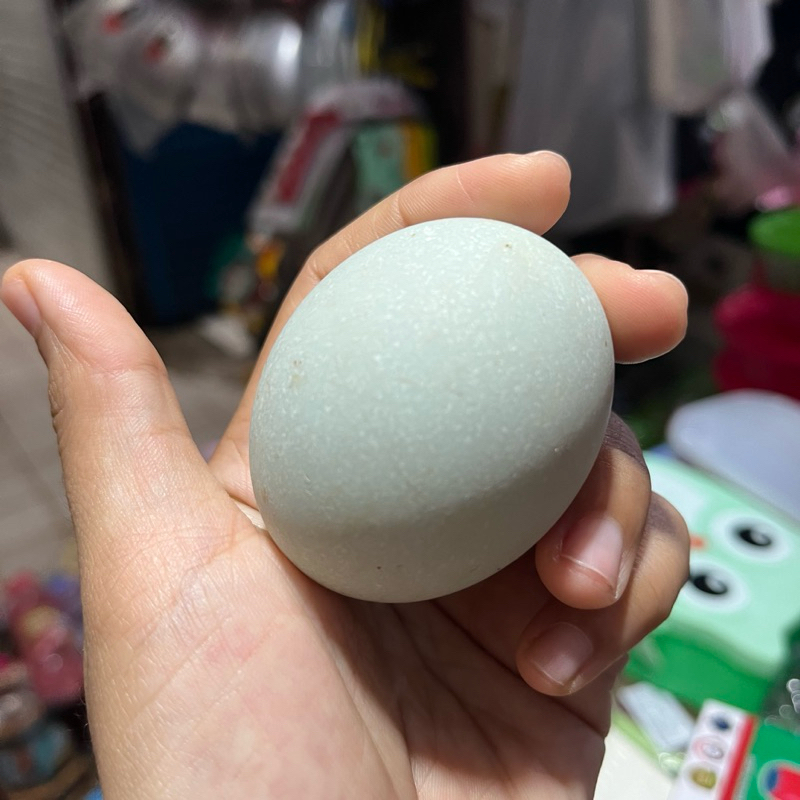 

Telur Bebek Telor Bebek 4 pcs