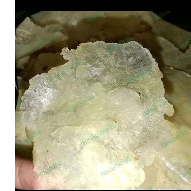 

EMPING BESAR MENTAH 1KG KHAS BANTEN