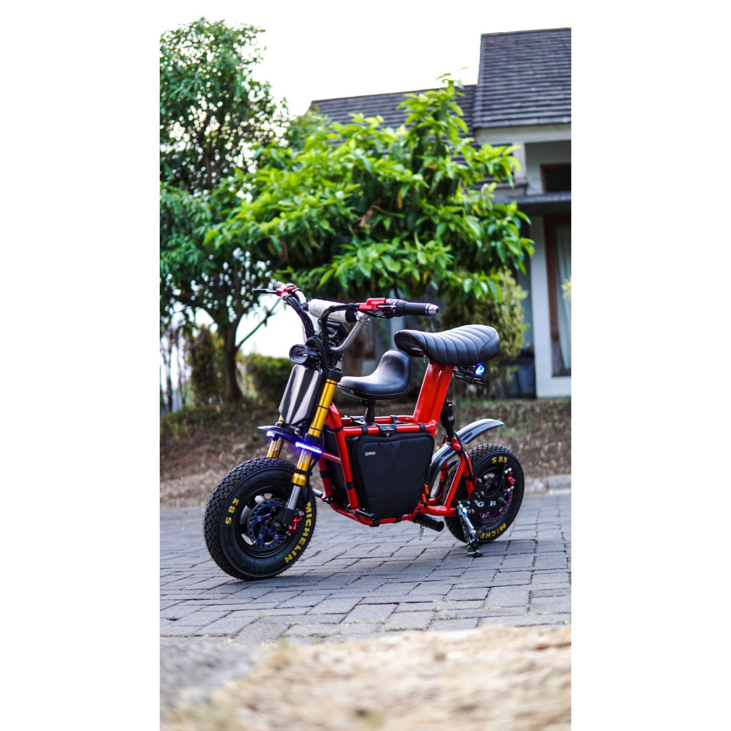 Fiido Q1S Upgrade Speed 110KPH LNY Motor 72V 5000W